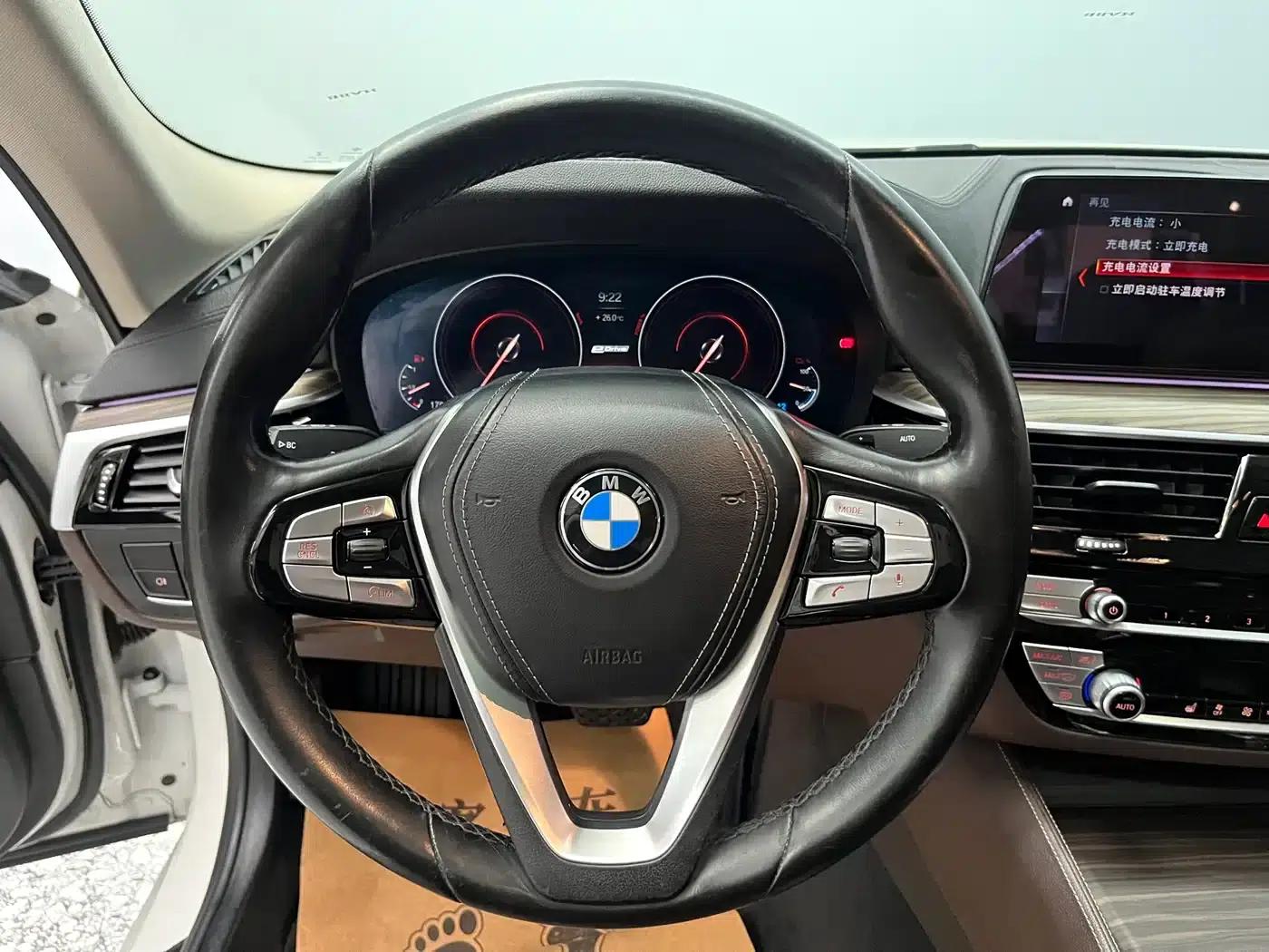 BMW 5 Series PHEV 2019 Facelift 530Le Luxury Package — миниатюра 8