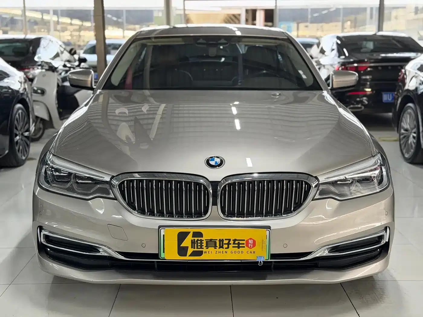BMW 5 Series PHEV 2020 530Le Luxury Package — миниатюра 2