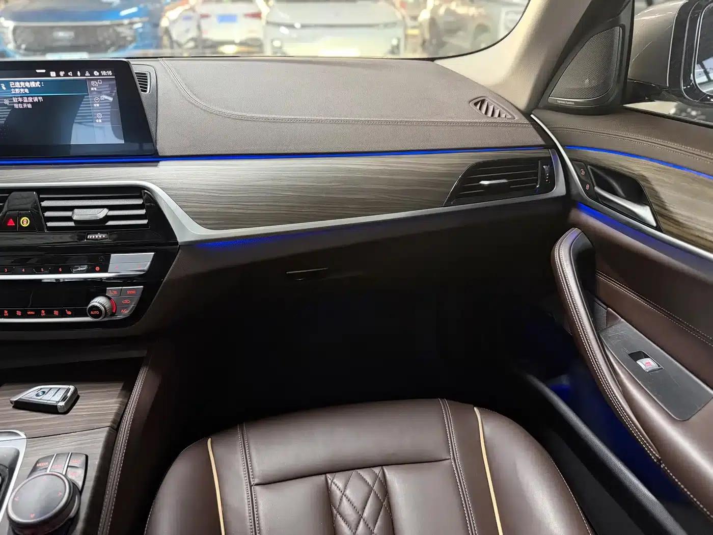 BMW 5 Series PHEV 2020 530Le Luxury Package — миниатюра 11