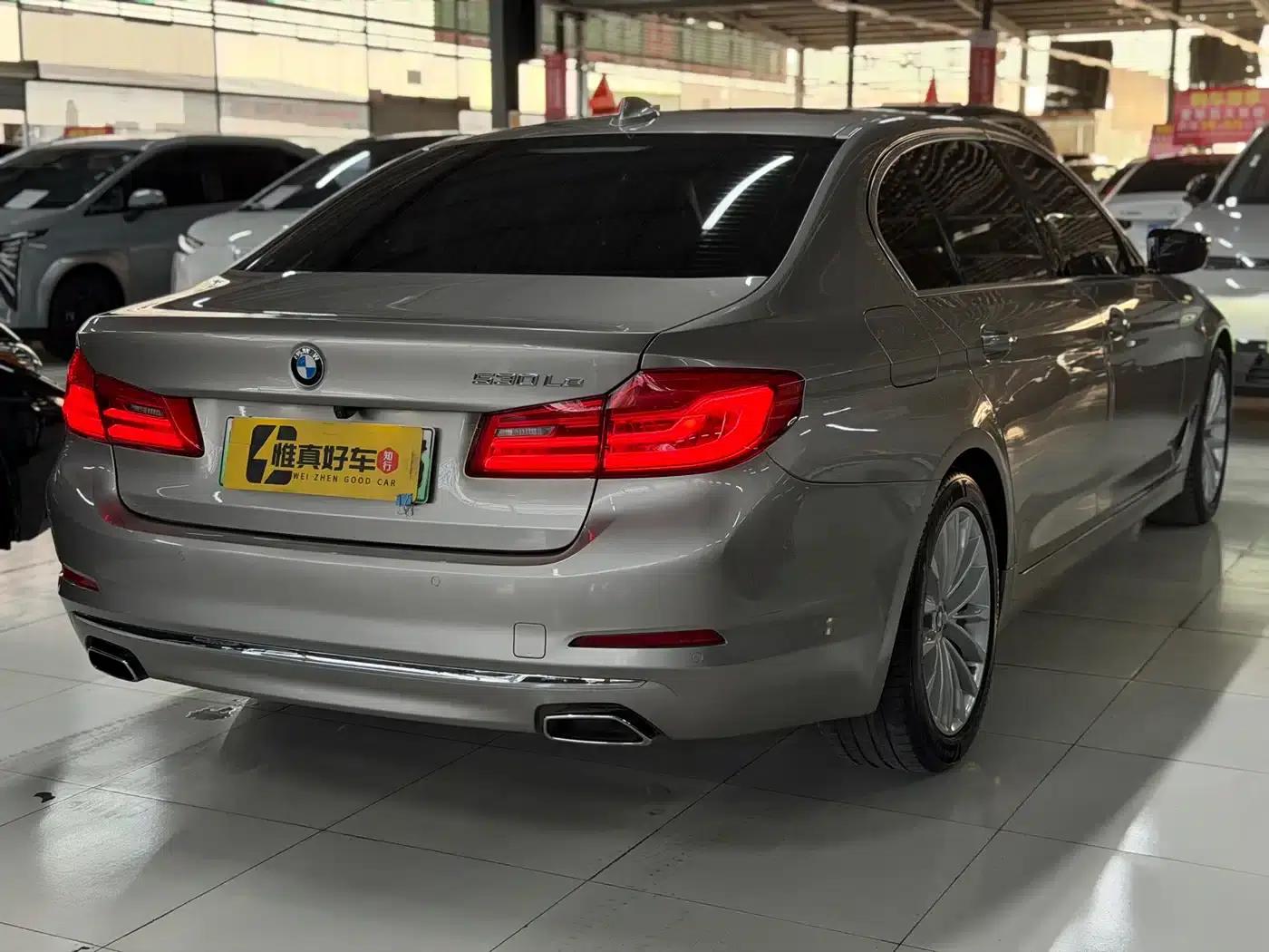 BMW 5 Series PHEV 2020 530Le Luxury Package — миниатюра 21