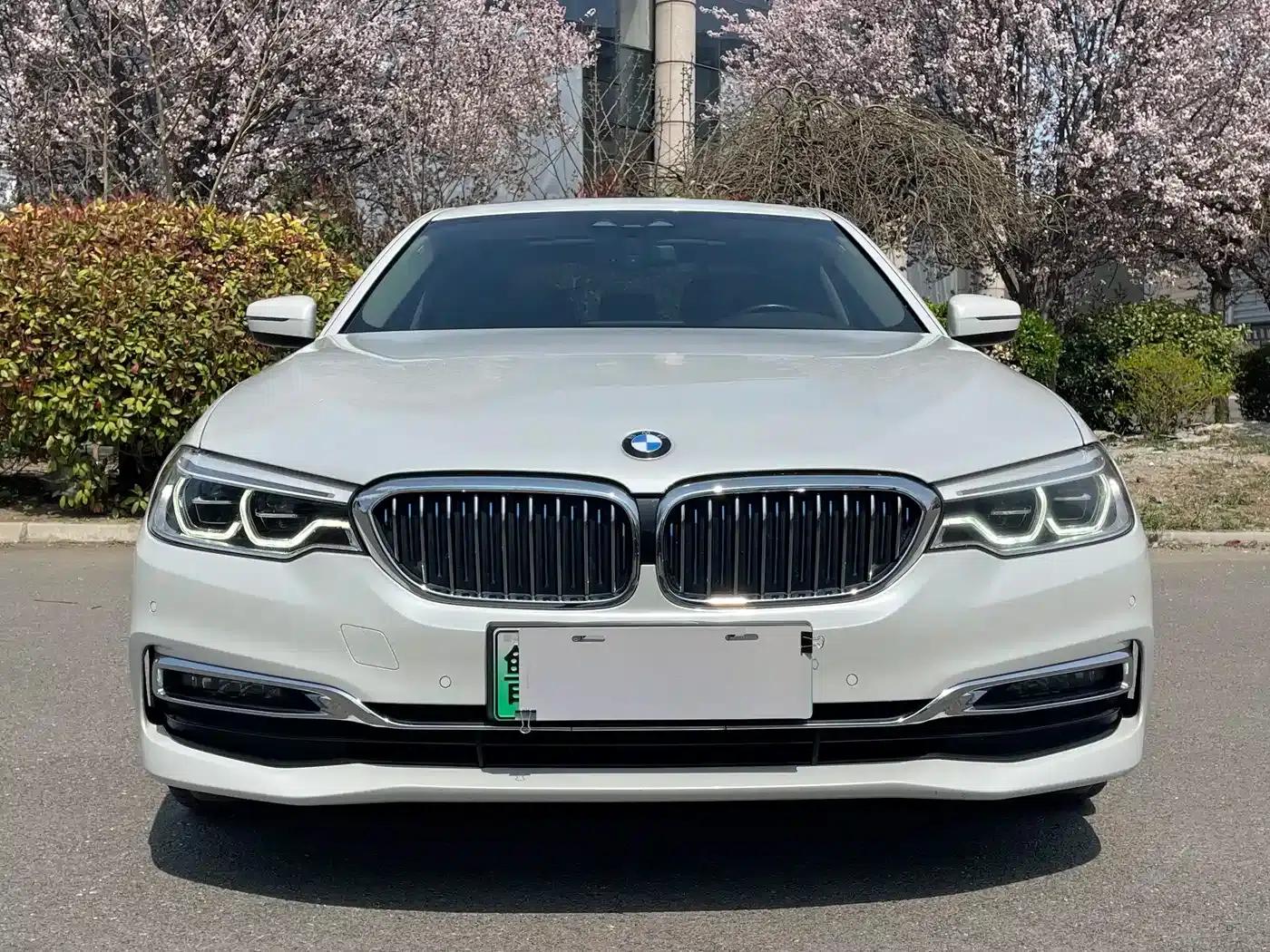 BMW 5 Series PHEV 2019 530Le Luxury Package — миниатюра 2