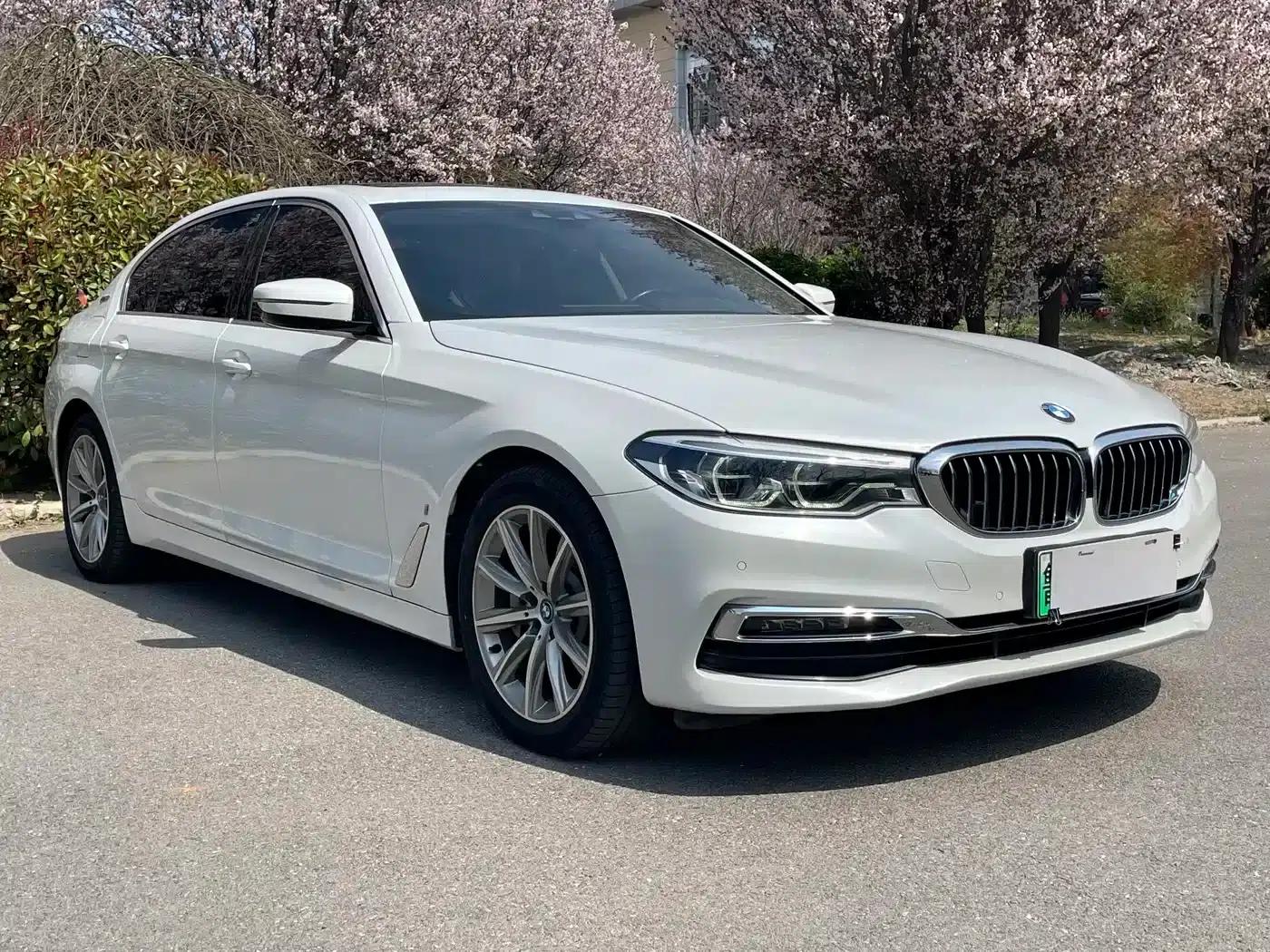 BMW 5 Series PHEV 2019 530Le Luxury Package — миниатюра 3