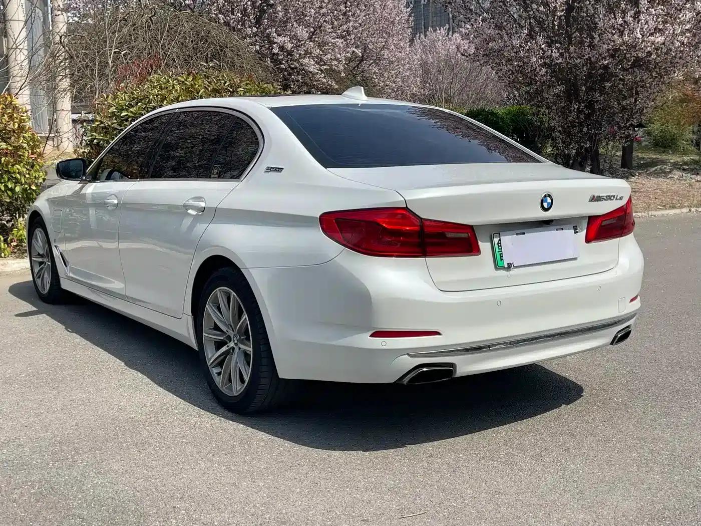 BMW 5 Series PHEV 2019 530Le Luxury Package — миниатюра 7