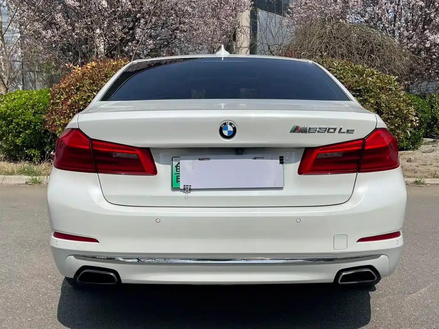 BMW 5 Series PHEV 2019 530Le Luxury Package — миниатюра 8