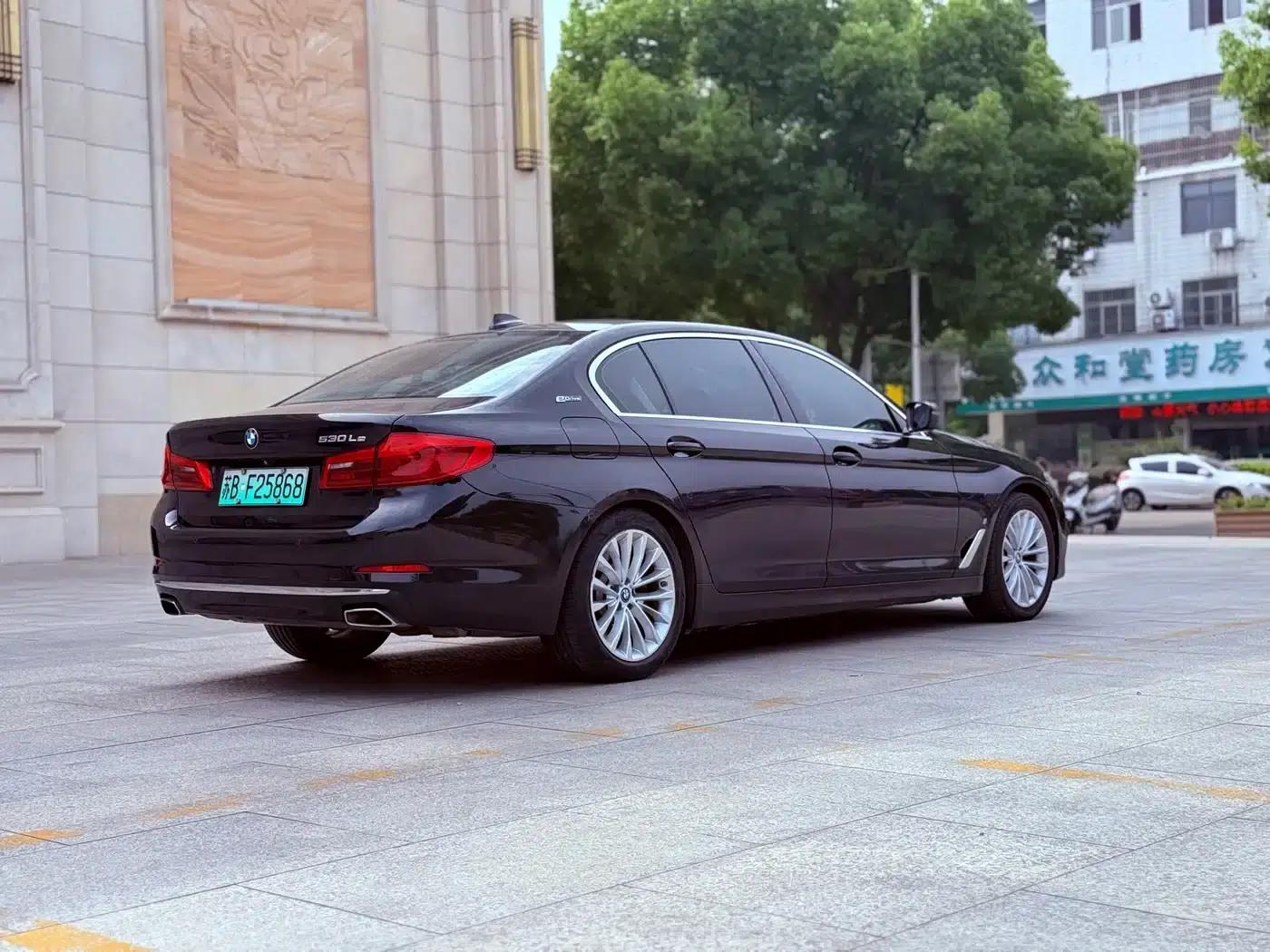 BMW 5 Series PHEV 2019 Facelift 530Le Pioneer Edition — миниатюра 4