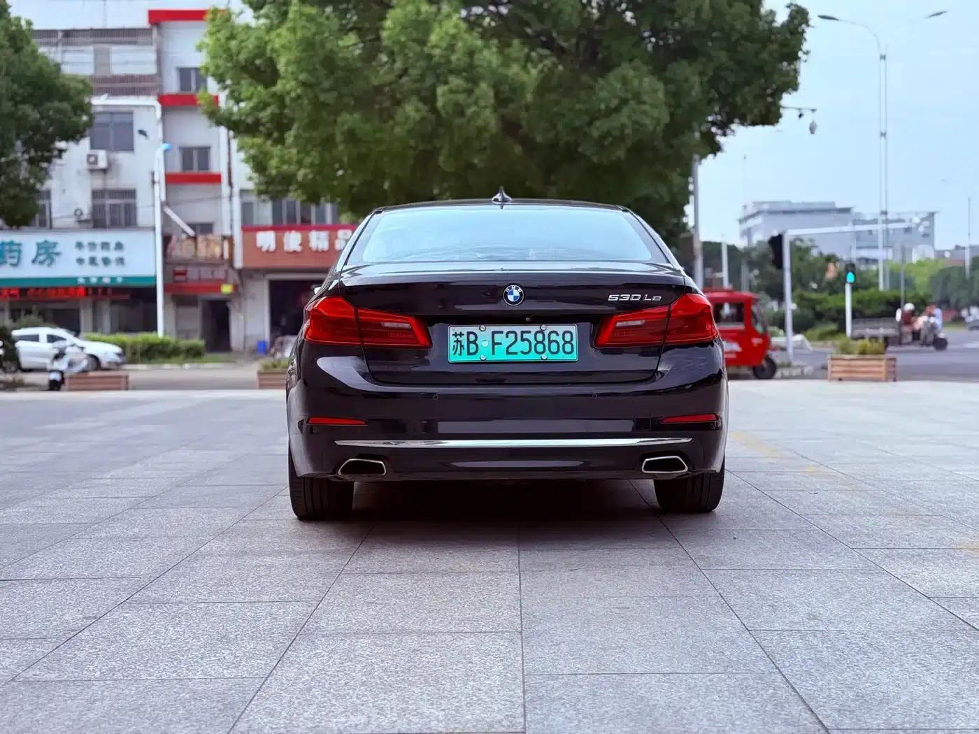 BMW 5 Series PHEV 2019 Facelift 530Le Pioneer Edition — миниатюра 5