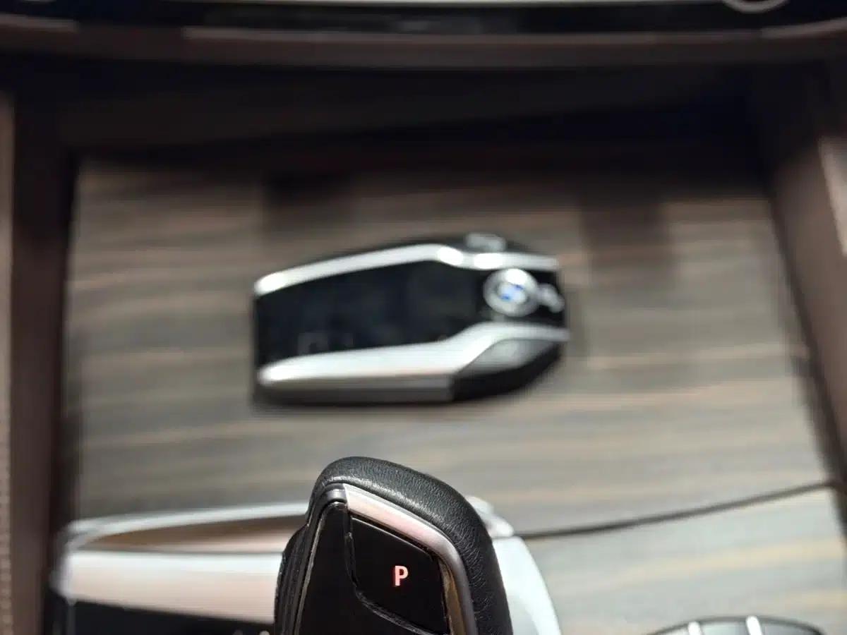 BMW 5 Series PHEV 2020 Mileage Upgrade Edition 530Le Pioneer Edition — миниатюра 19