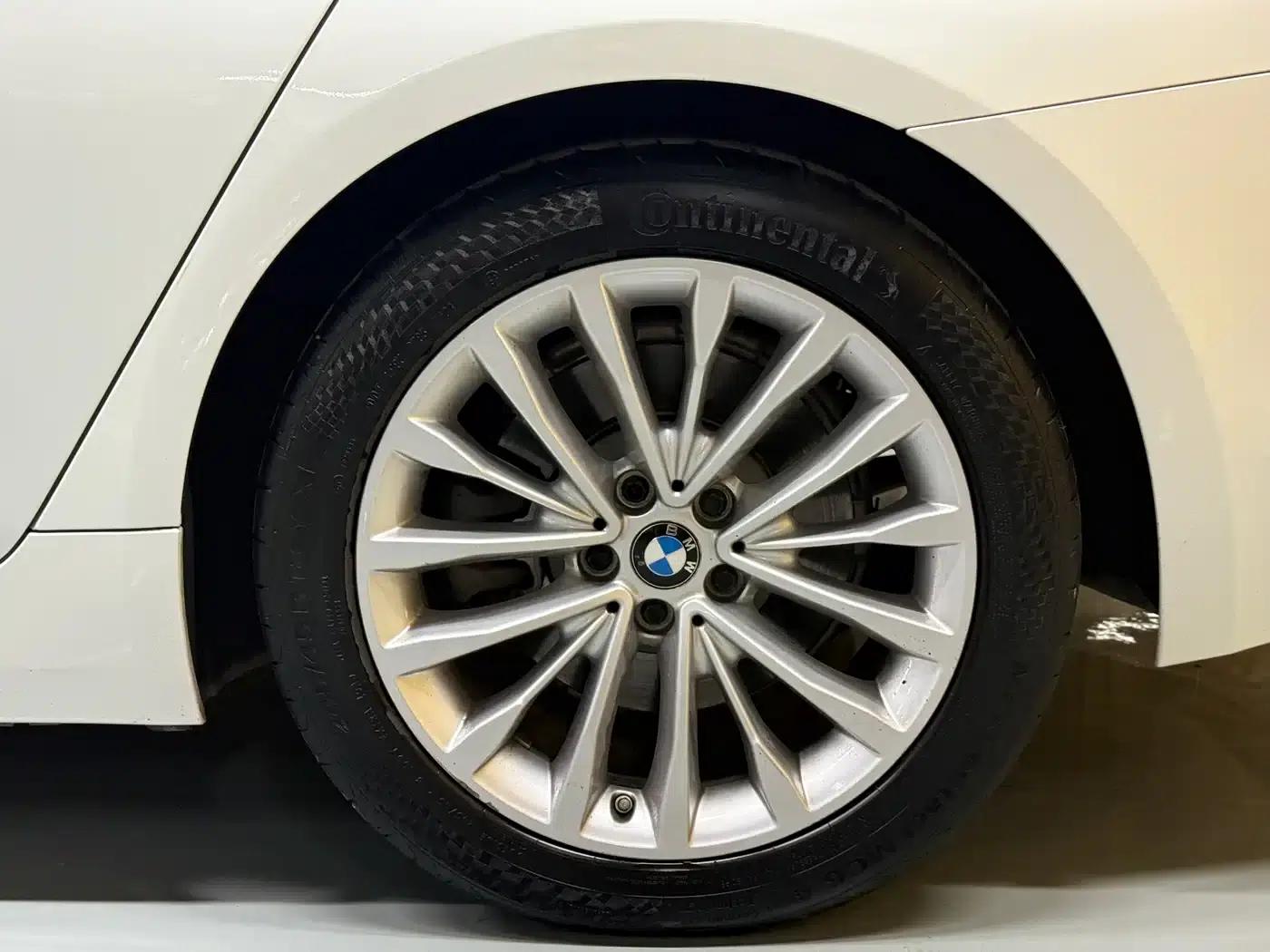 BMW 5 Series PHEV 2020 Mileage Upgrade Edition 530Le Pioneer Edition — миниатюра 25