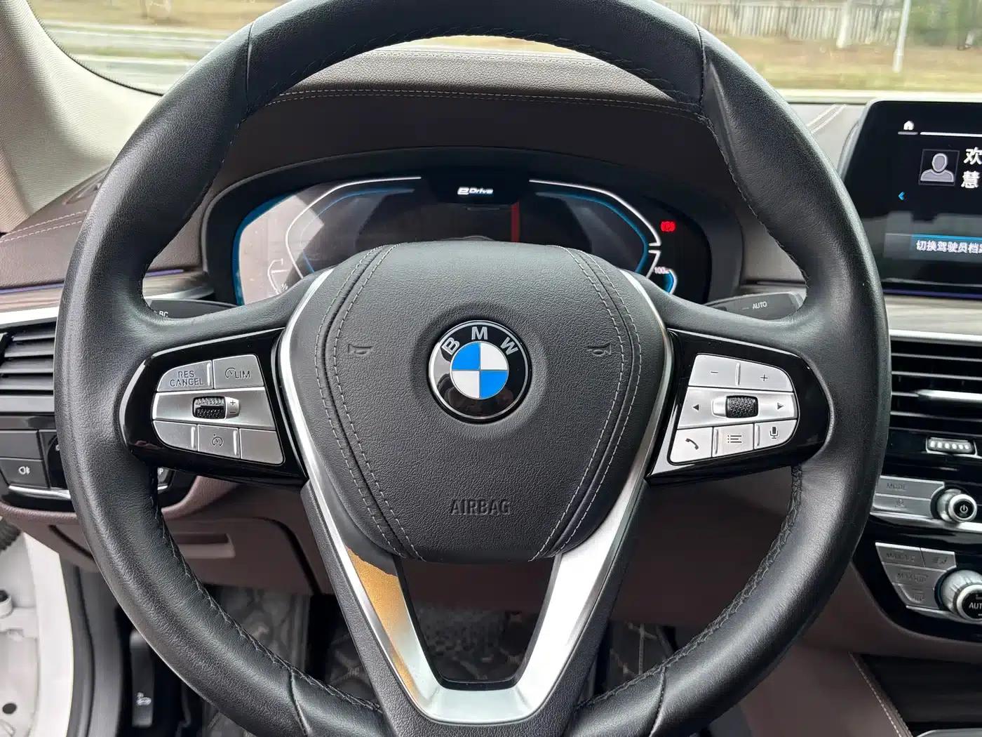 BMW 5 Series PHEV 2020 Mileage Upgrade Edition 530Le Luxury Package — миниатюра 20