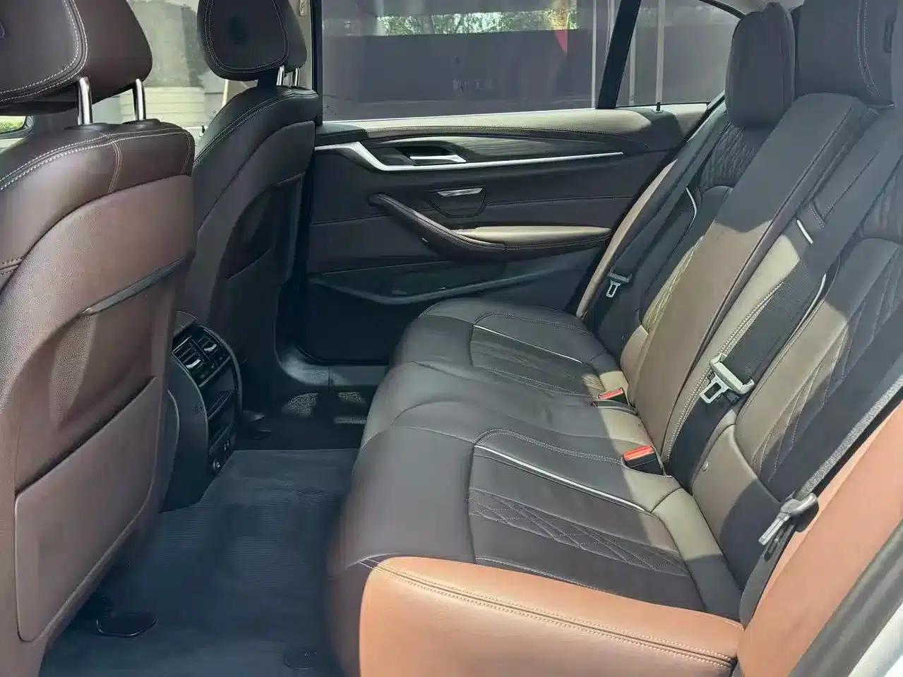 BMW 5 Series PHEV 2020 Mileage Upgrade Edition 530Le Luxury Package — миниатюра 12