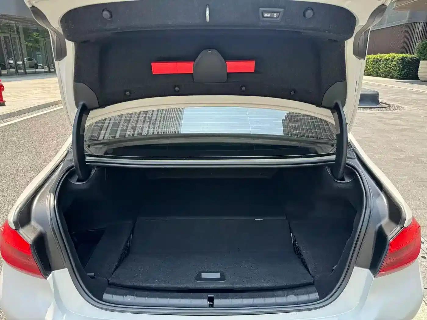 BMW 5 Series PHEV 2020 Mileage Upgrade Edition 530Le Luxury Package — миниатюра 15