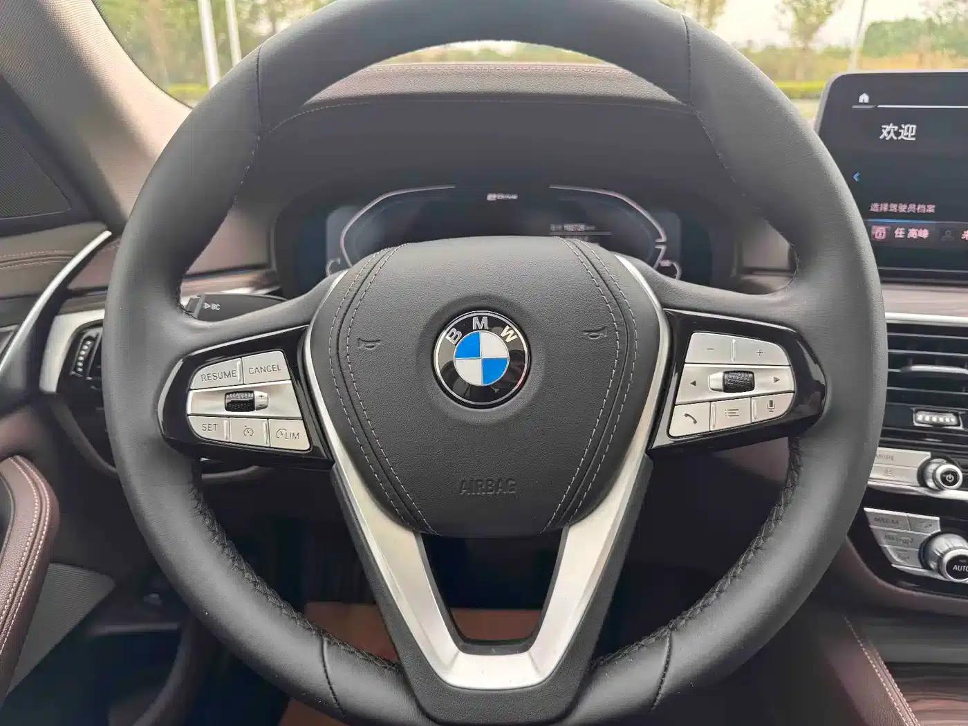 BMW 5 Series PHEV 2021 535Le Luxury Package — миниатюра 13