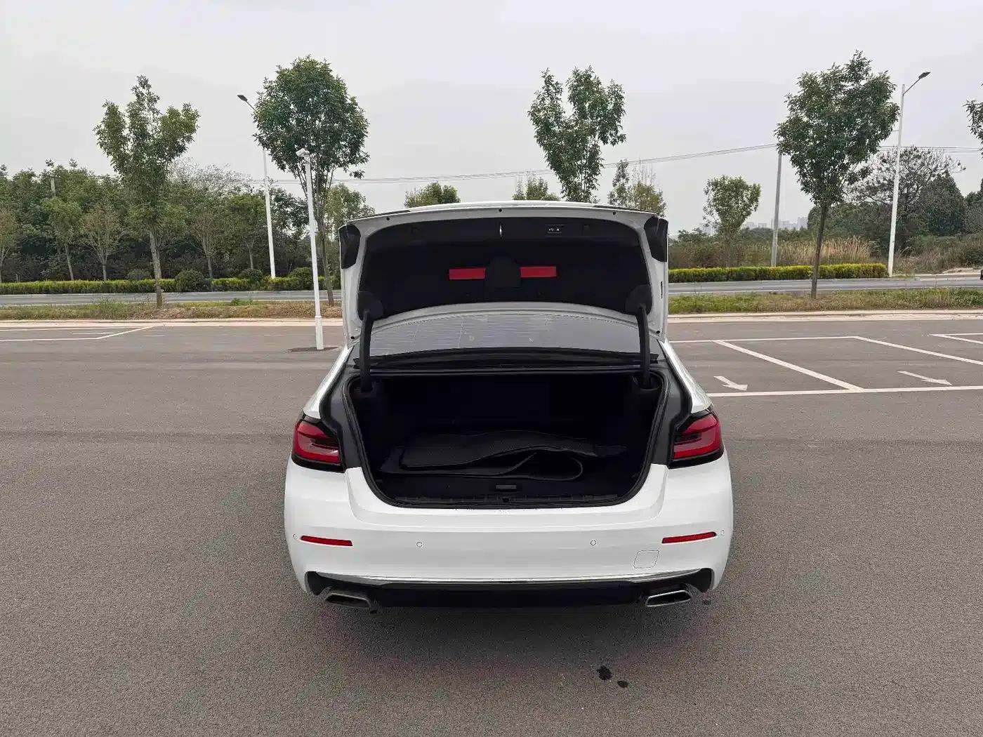 BMW 5 Series PHEV 2021 535Le Luxury Package — миниатюра 8