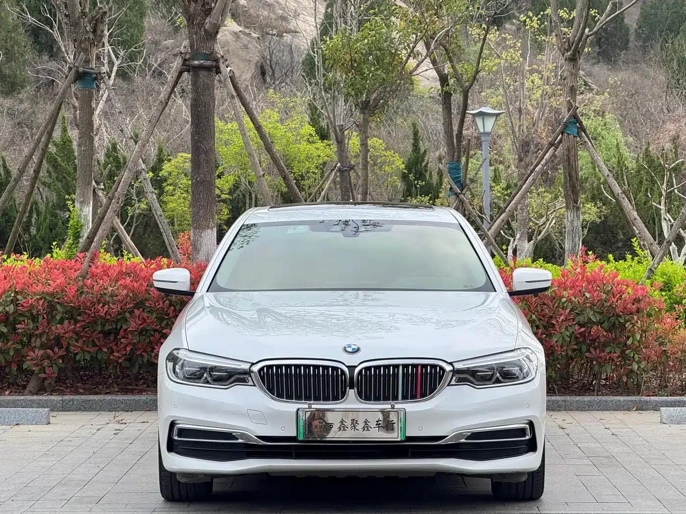BMW 5 Series PHEV 2020 Mileage Upgrade Edition 530Le Luxury Package — миниатюра 2