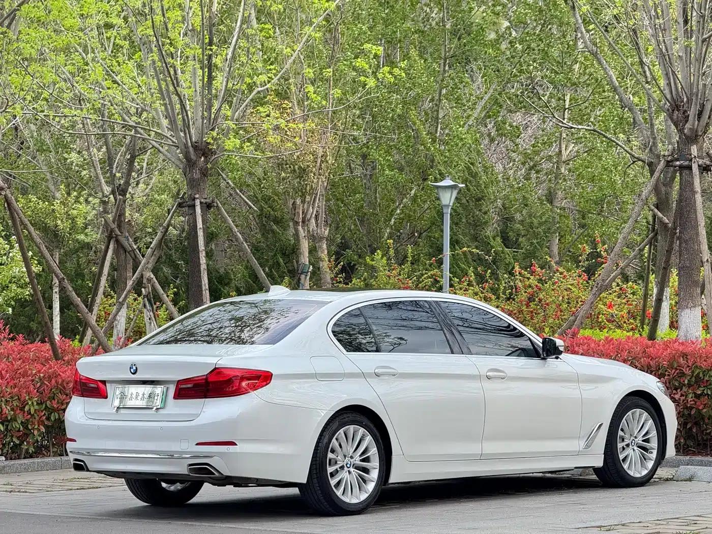 BMW 5 Series PHEV 2020 Mileage Upgrade Edition 530Le Luxury Package — миниатюра 8