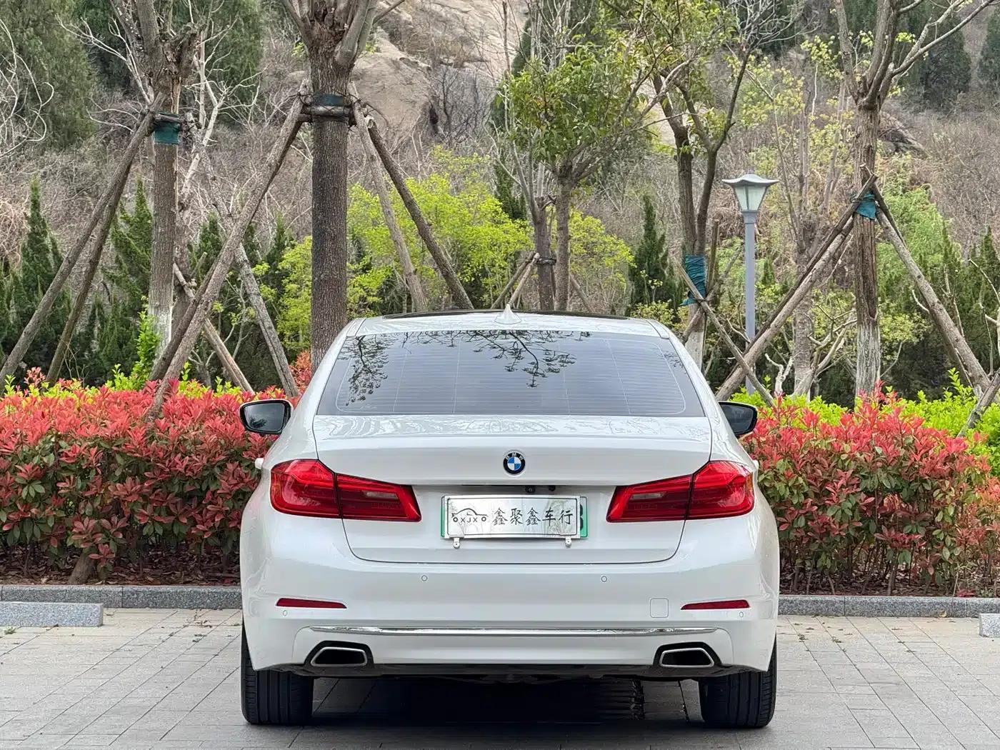 BMW 5 Series PHEV 2020 Mileage Upgrade Edition 530Le Luxury Package — миниатюра 9