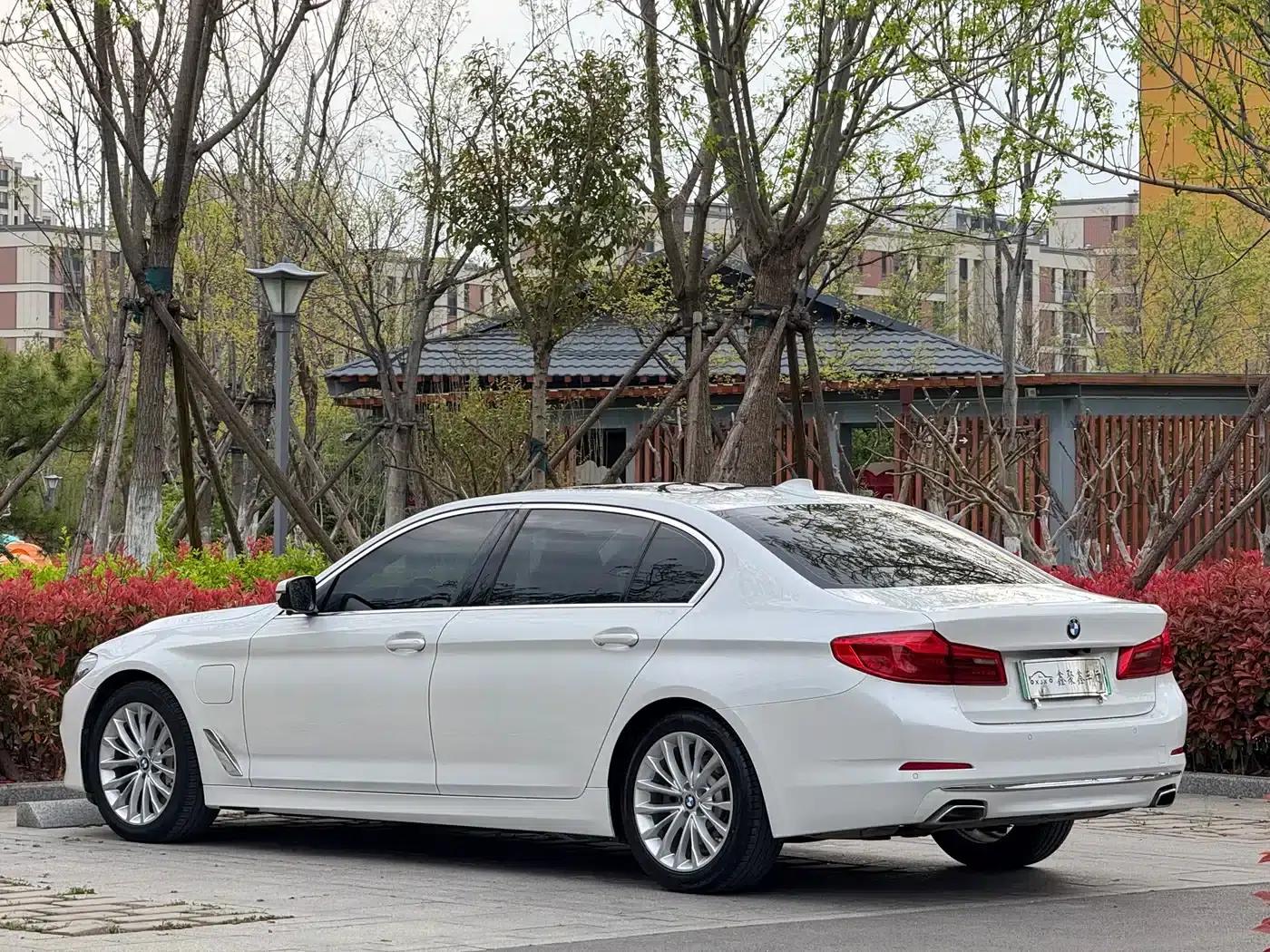 BMW 5 Series PHEV 2020 Mileage Upgrade Edition 530Le Luxury Package — миниатюра 10