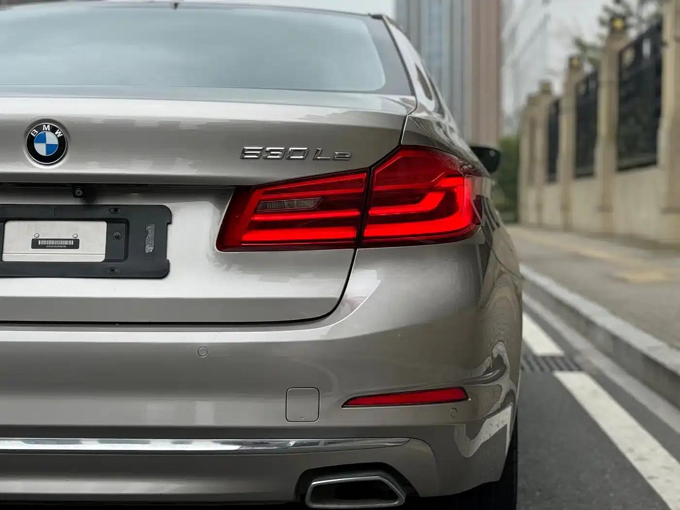 BMW 5 Series PHEV 2020 Mileage Upgrade Edition 530Le Luxury Package — миниатюра 6