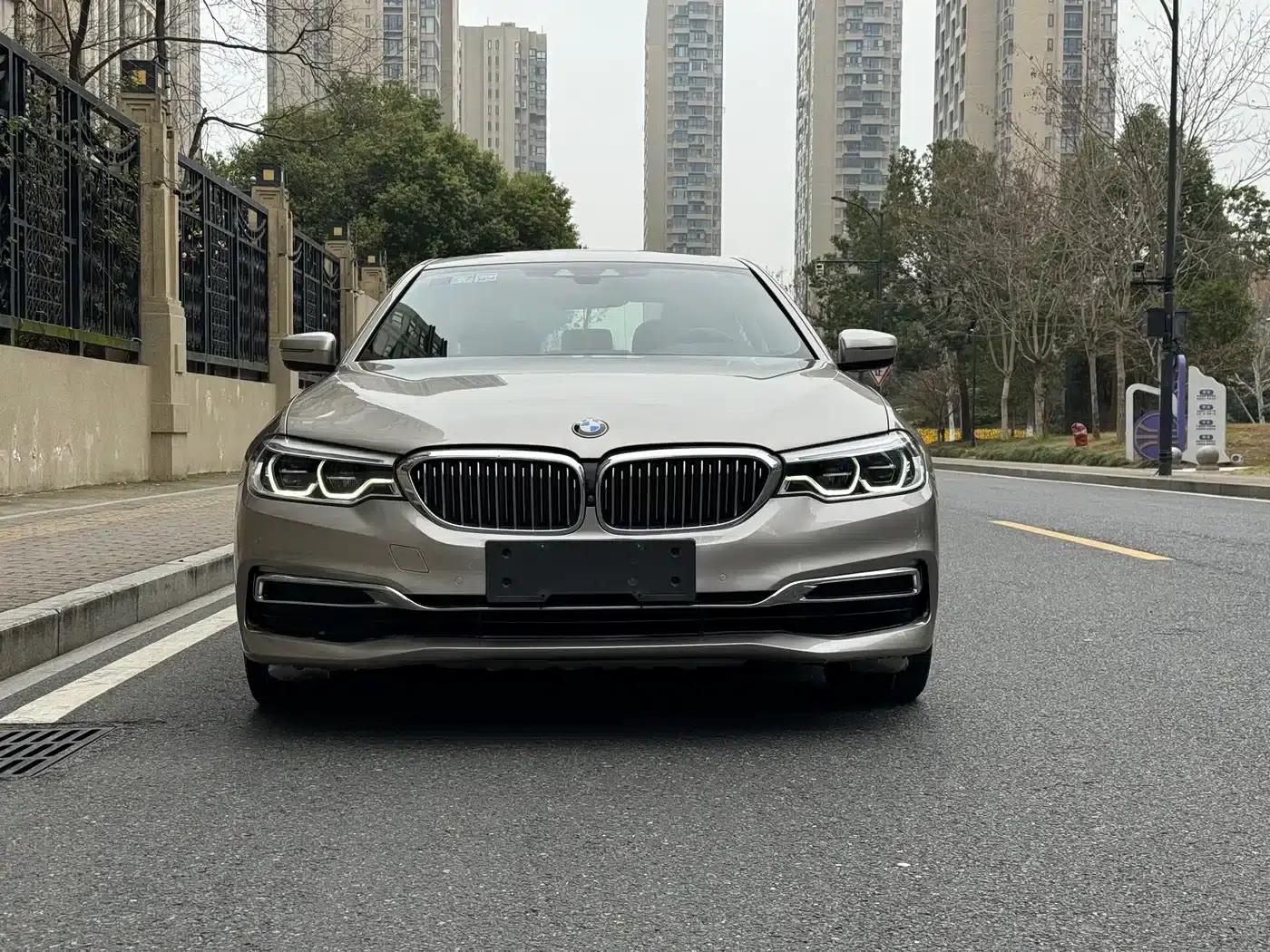 BMW 5 Series PHEV 2020 Mileage Upgrade Edition 530Le Luxury Package — миниатюра 10