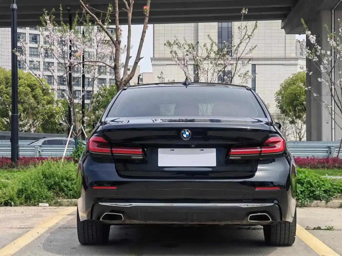 BMW 5 Series PHEV 2021 535Le Luxury Package — миниатюра 4