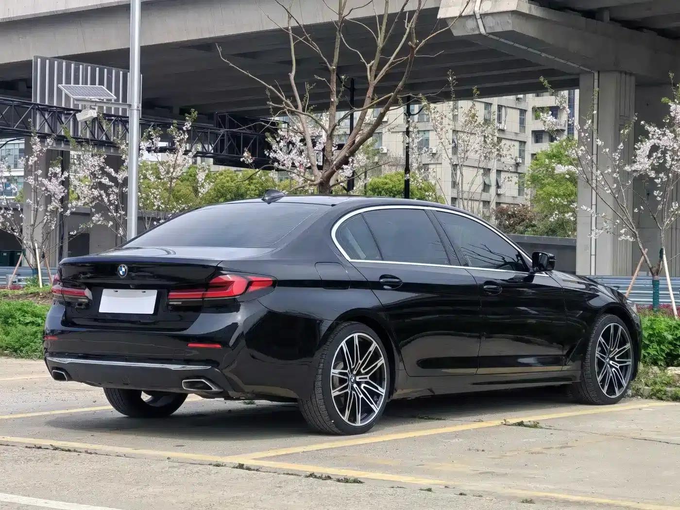 BMW 5 Series PHEV 2021 535Le Luxury Package — миниатюра 7
