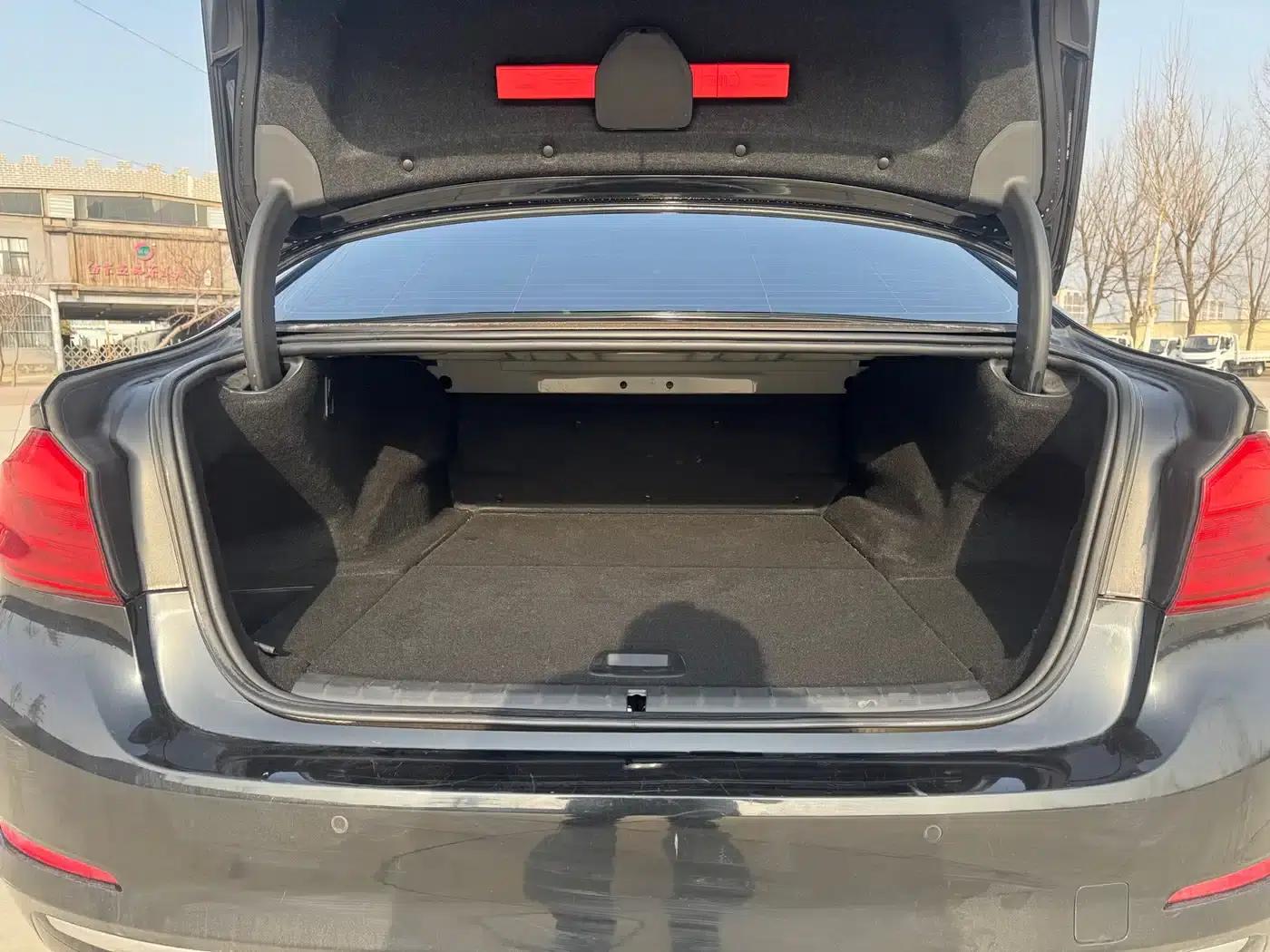 BMW 5 Series PHEV 2020 530Le Luxury Package — миниатюра 16