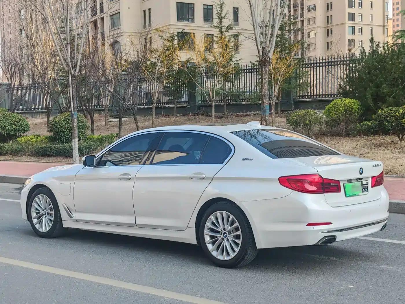 BMW 5 Series PHEV 2019 Facelift 530Le Luxury Package — миниатюра 3
