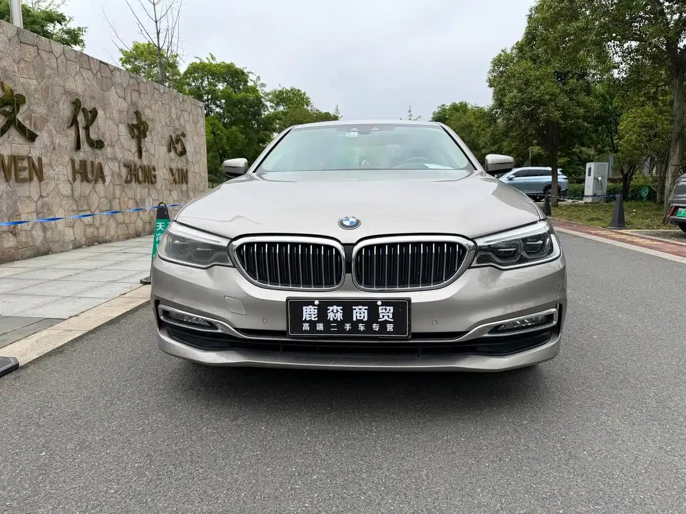 BMW 5 Series PHEV 2019 530Le Luxury Package — миниатюра 3