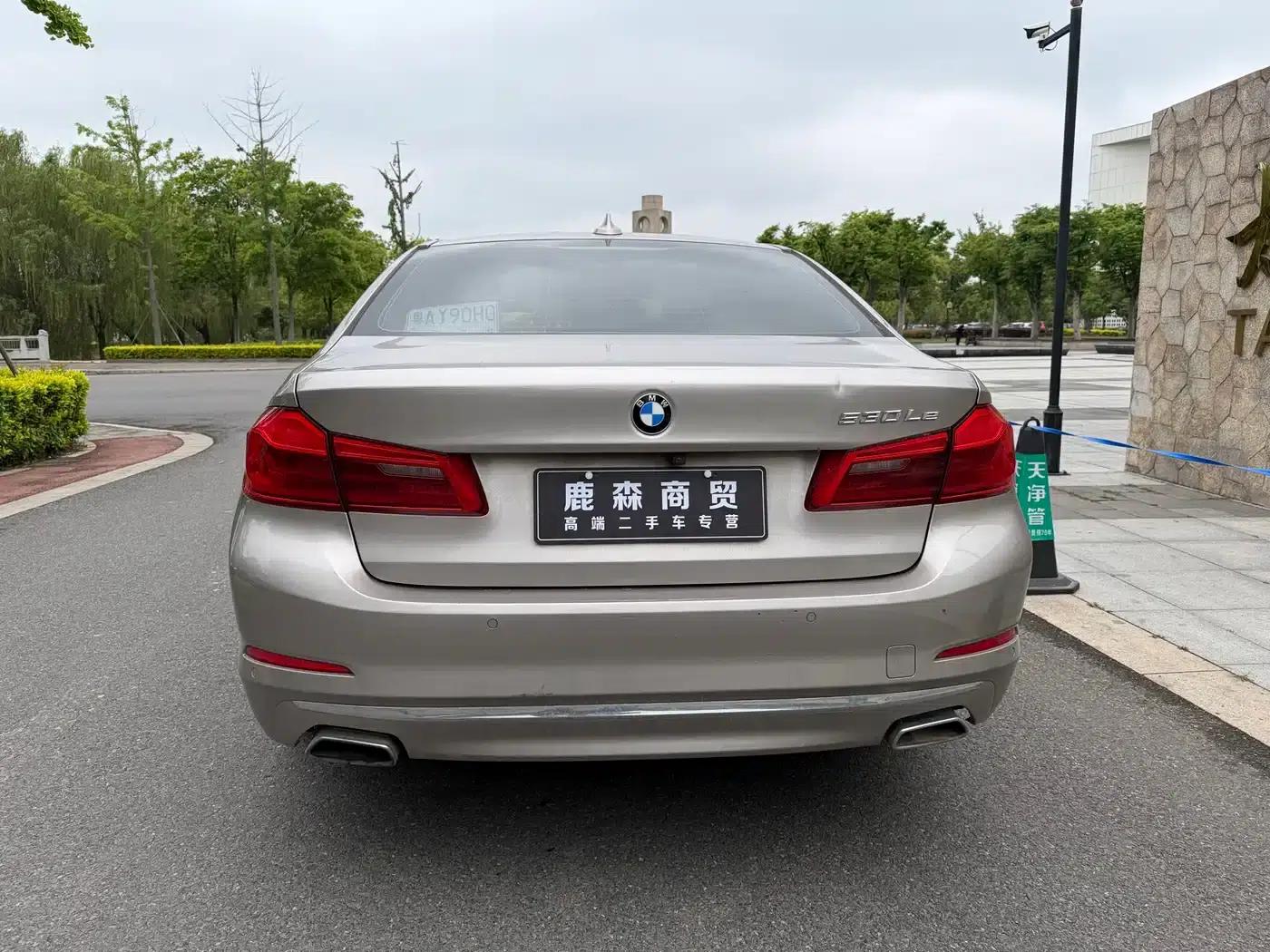 BMW 5 Series PHEV 2019 530Le Luxury Package — миниатюра 6