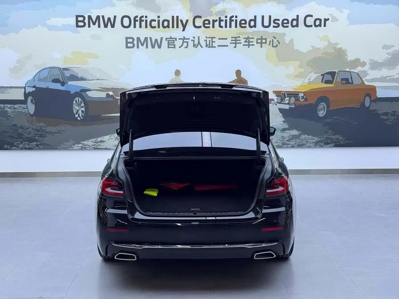 BMW 5 Series PHEV 2021 535Le Luxury Package — миниатюра 7