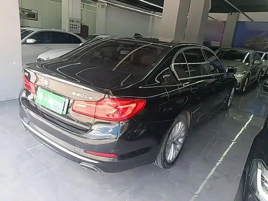 BMW 5 Series PHEV 2019 Facelift 530Le Pioneer Edition — миниатюра 7