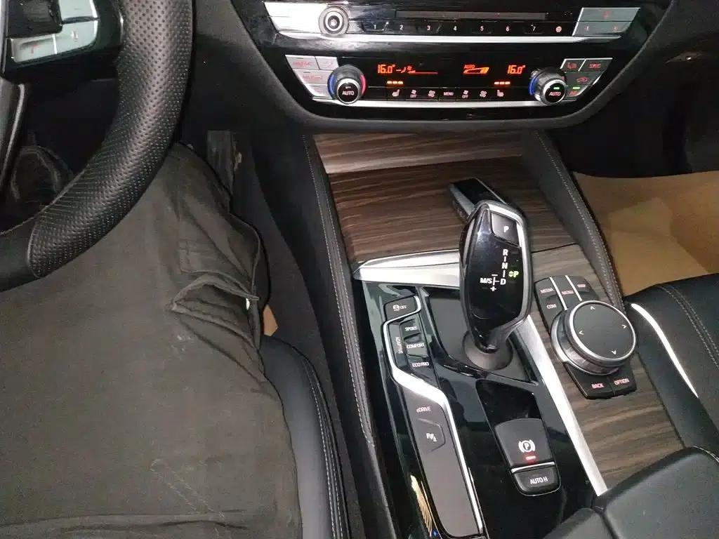 BMW 5 Series PHEV 2019 Facelift 530Le Luxury Package — миниатюра 14