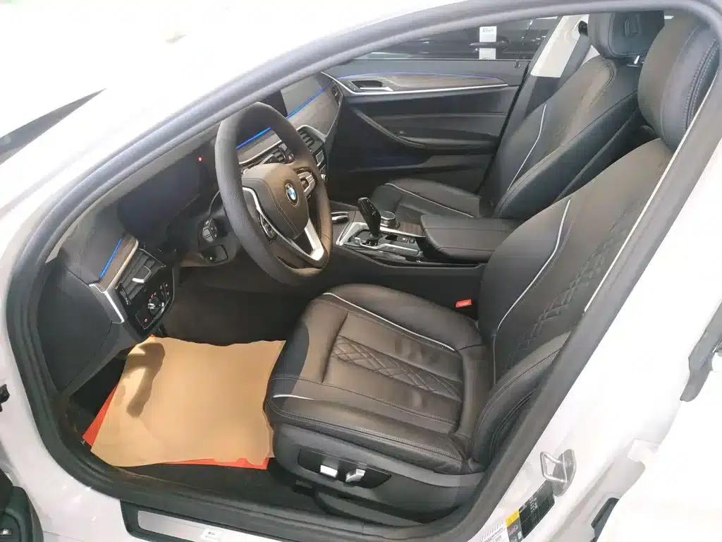 BMW 5 Series PHEV 2019 Facelift 530Le Luxury Package — миниатюра 15