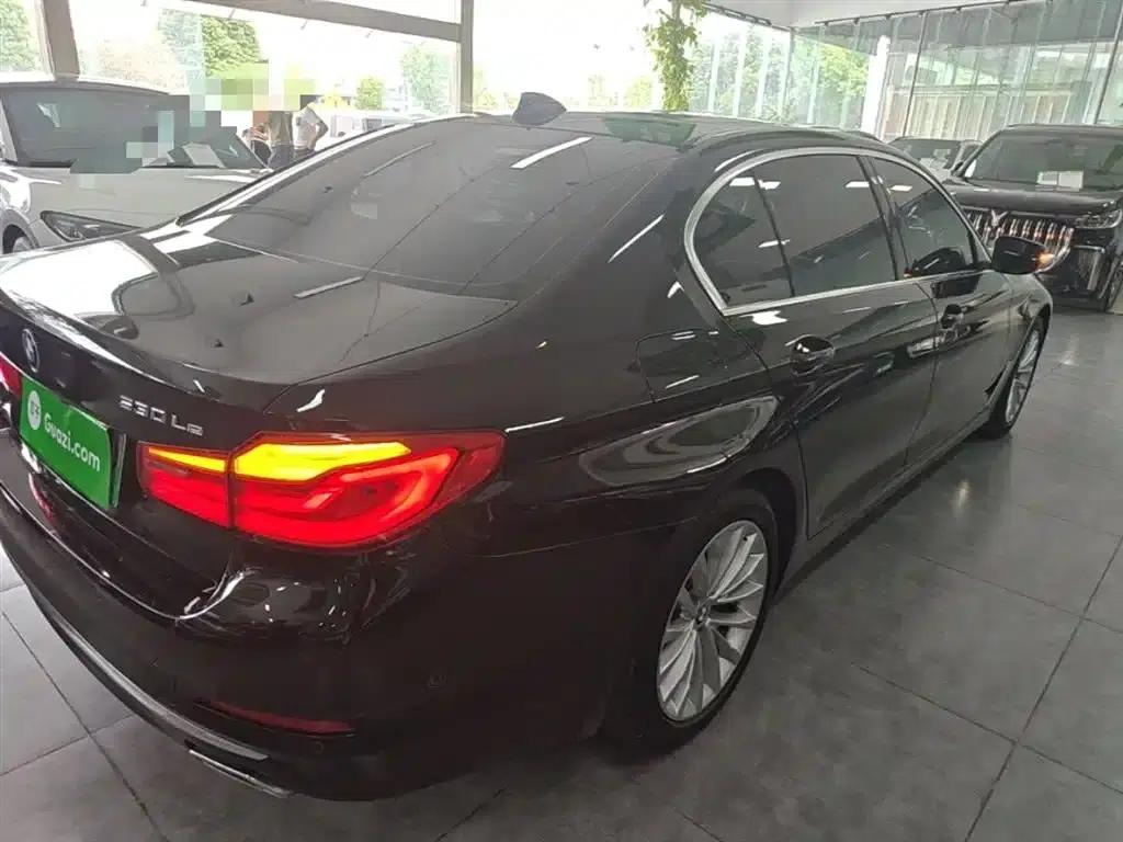 BMW 5 Series PHEV 2020 Mileage Upgrade Edition 530Le Pioneer Edition — миниатюра 7