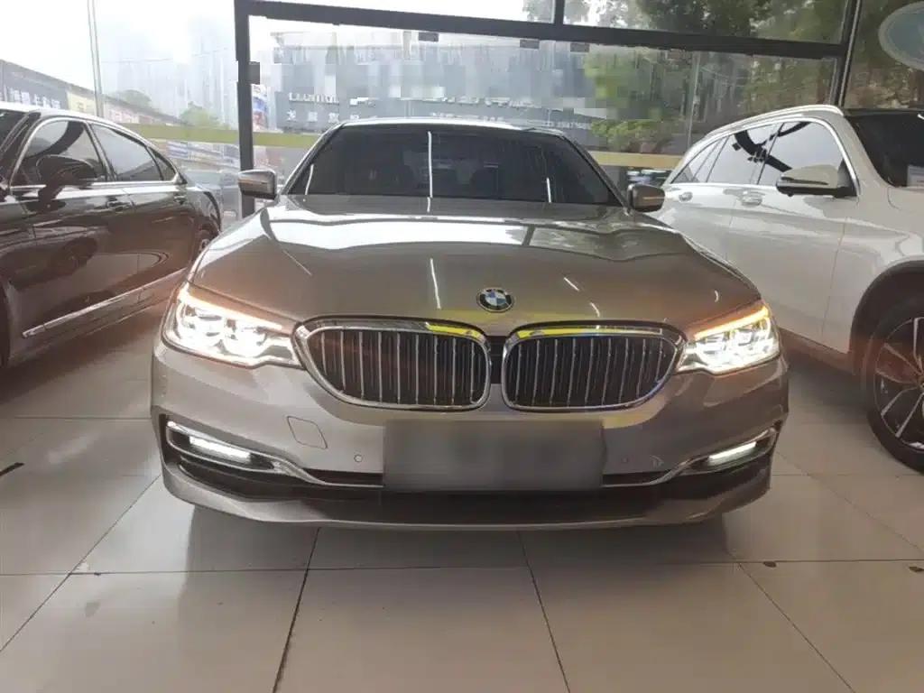 BMW 5 Series PHEV 2019 530Le Luxury Package — миниатюра 3