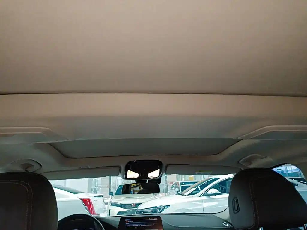 BMW 5 Series PHEV 2020 Mileage Upgrade Edition 530Le Luxury Package — миниатюра 14