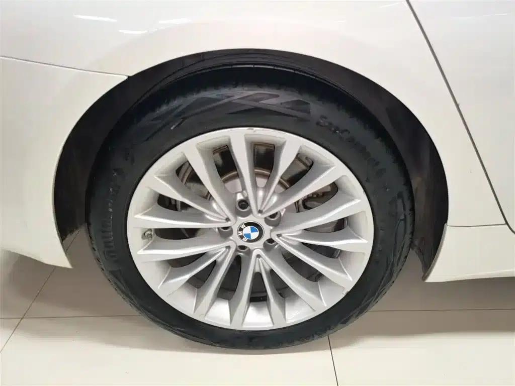 BMW 5 Series PHEV 2020 Mileage Upgrade Edition 530Le Pioneer Edition — миниатюра 26