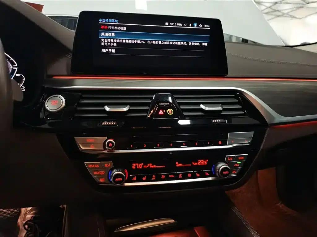 BMW 5 Series PHEV 2020 Mileage Upgrade Edition 530Le Pioneer Edition — миниатюра 10