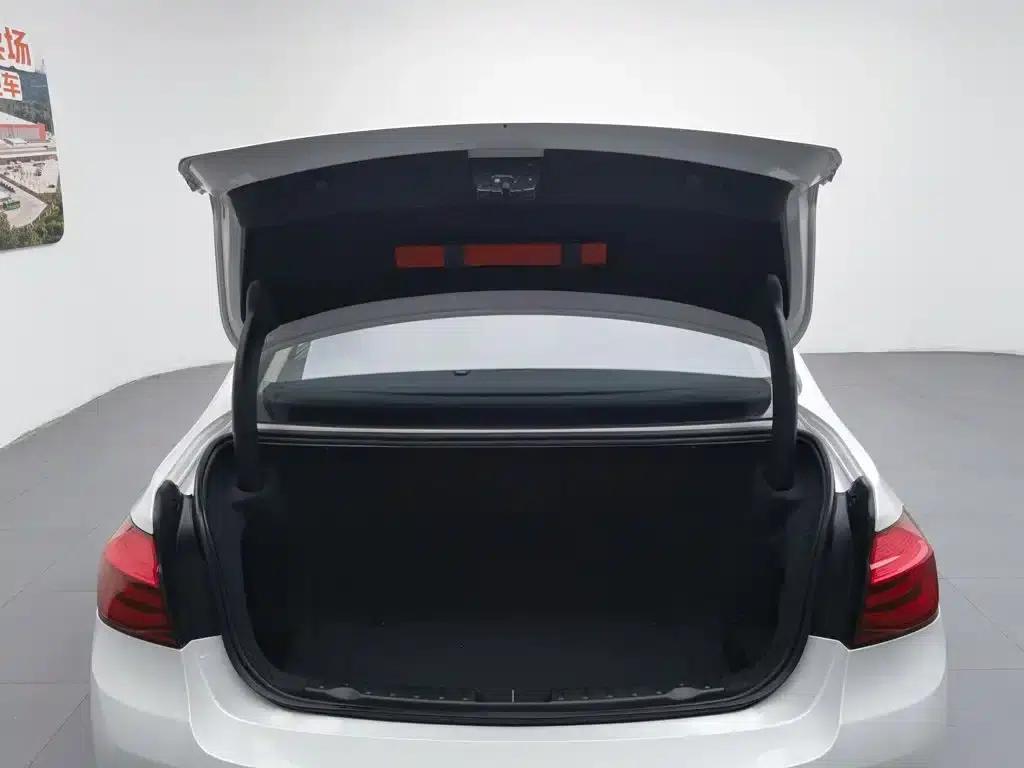 BMW 3 Series 2019 320Li Fashion Edition — миниатюра 16
