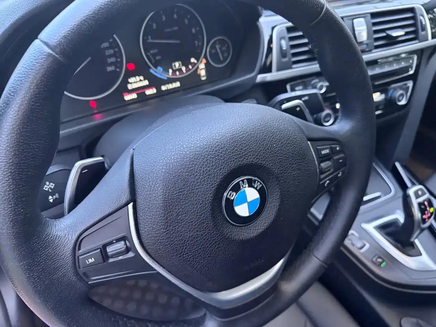 2017 BMW 3 Series 320Li M Sport — миниатюра 2