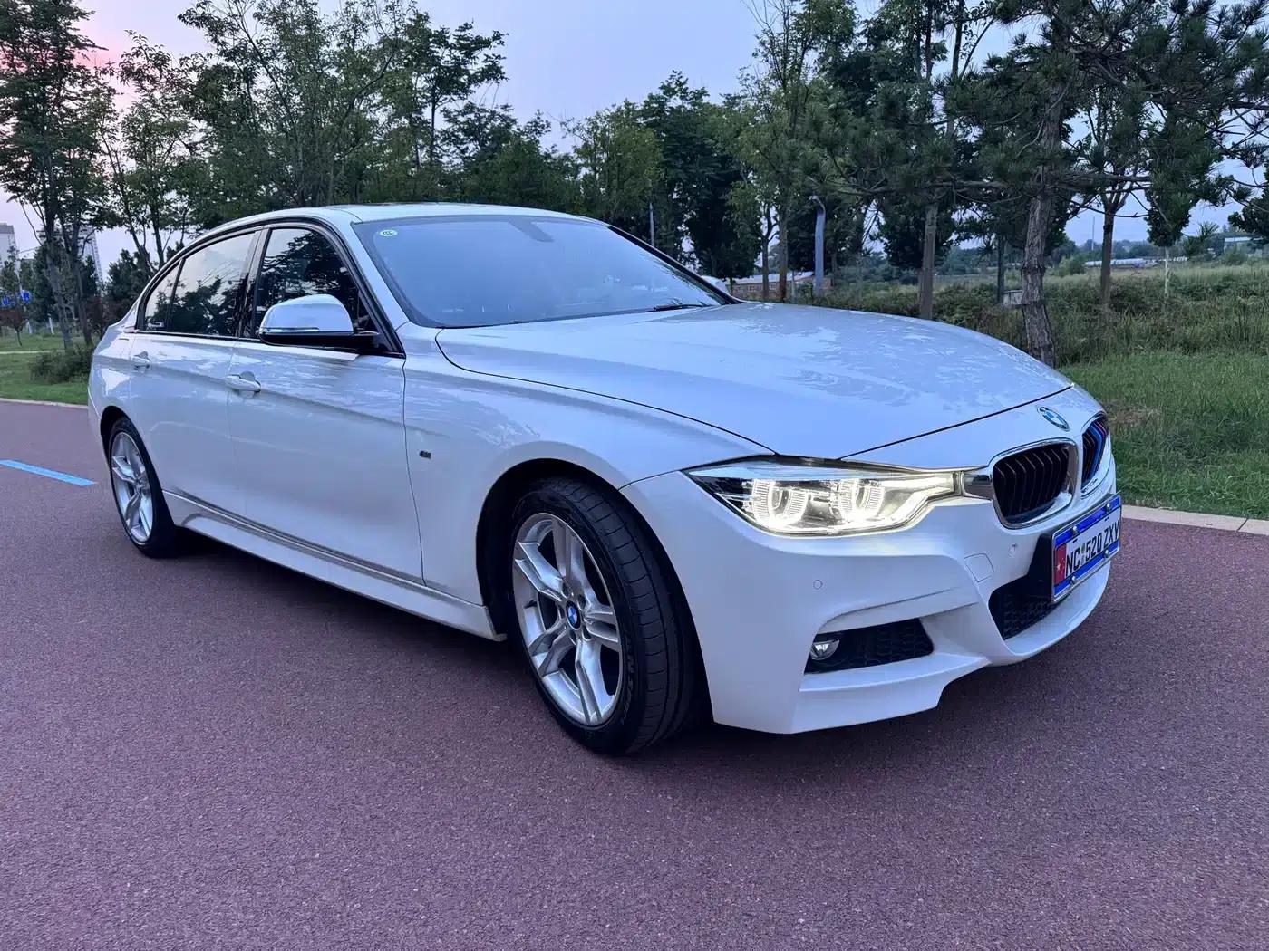 2017 BMW 3 Series 320Li M Sport — миниатюра 15