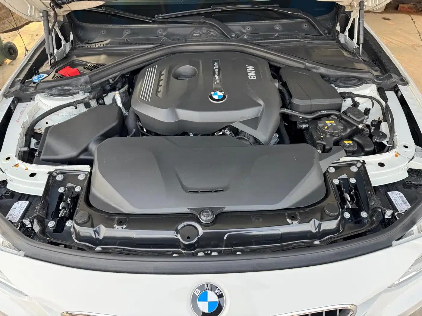 2017 BMW 3 Series 320Li M Sport — миниатюра 19
