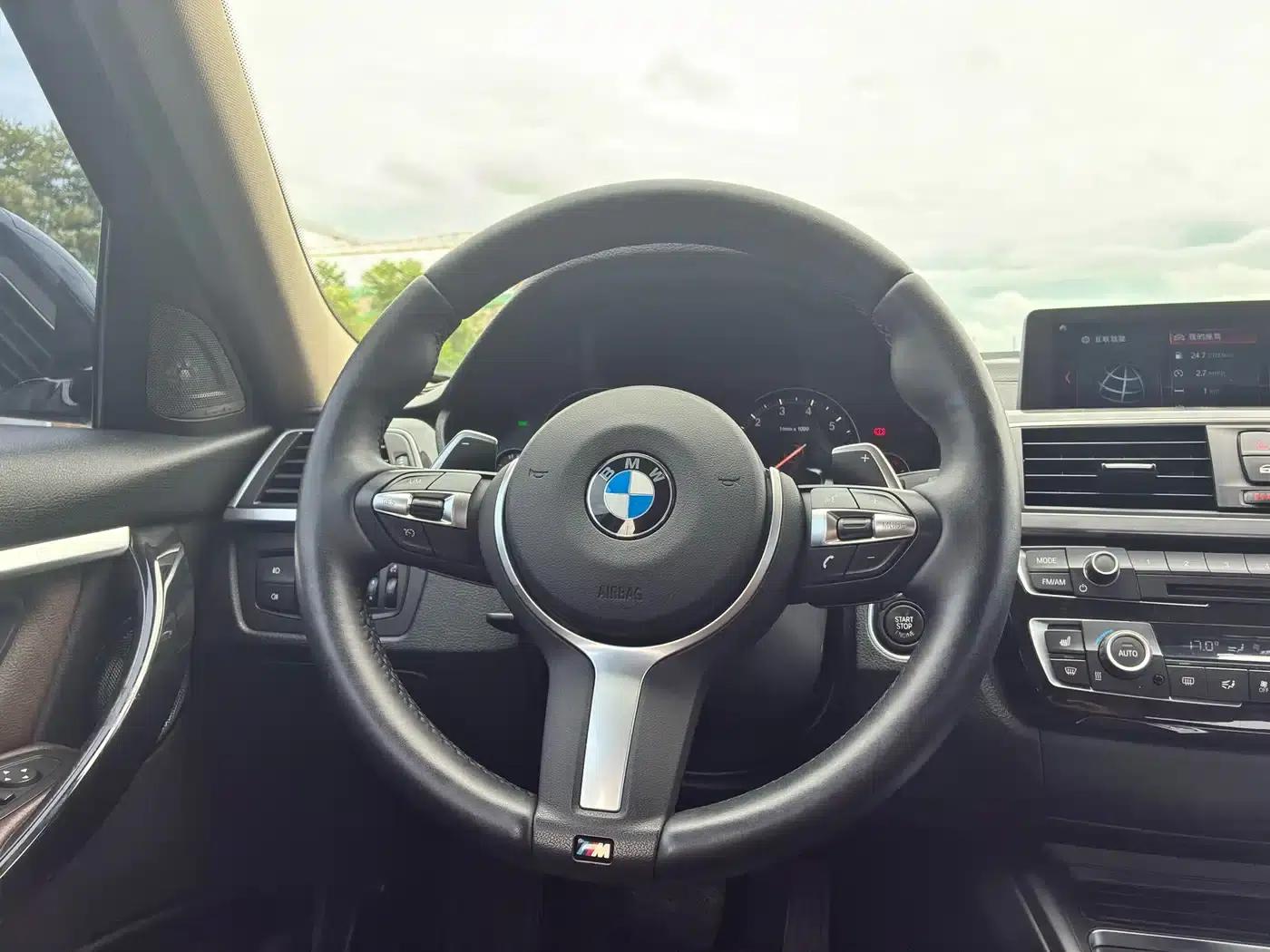 2019 BMW 3 Series 320Li M Sport Shadow Edition — миниатюра 11