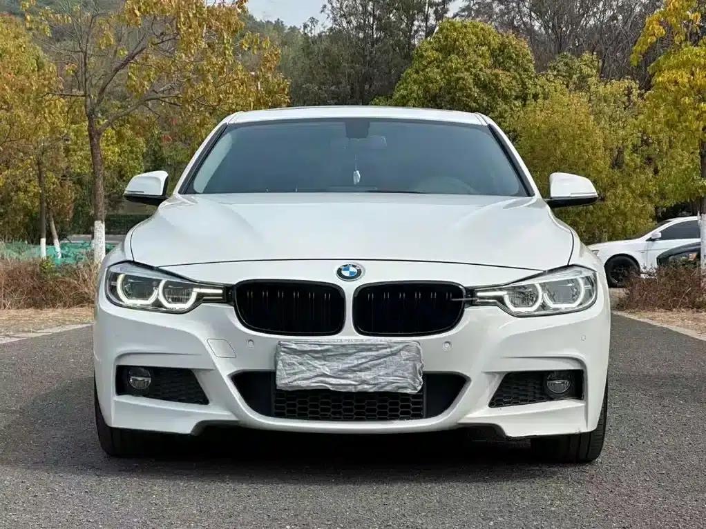 2017 BMW 3 Series 320Li M Sport — миниатюра 2