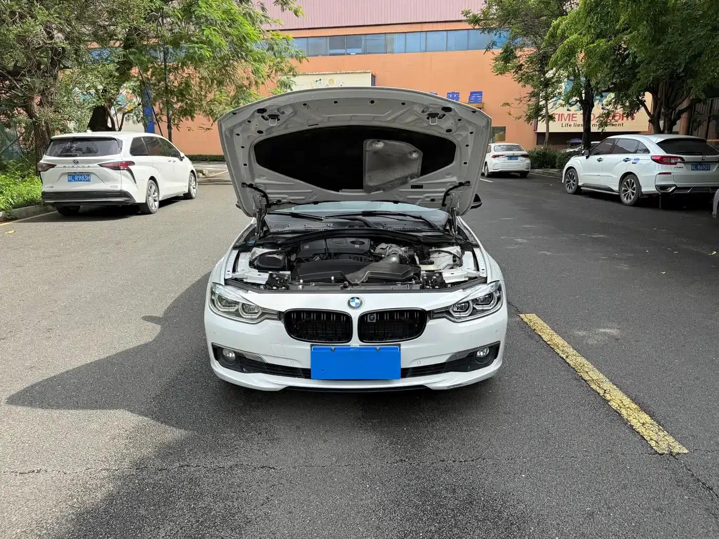 2016 BMW 3 Series 316Li Fashion Edition — миниатюра 14