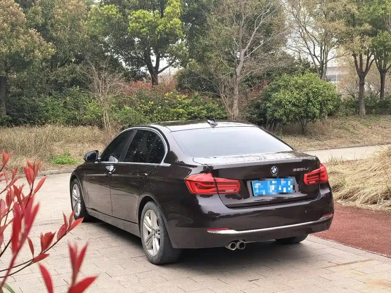 2017 BMW 3 Series 320Li Fashion Edition — миниатюра 6