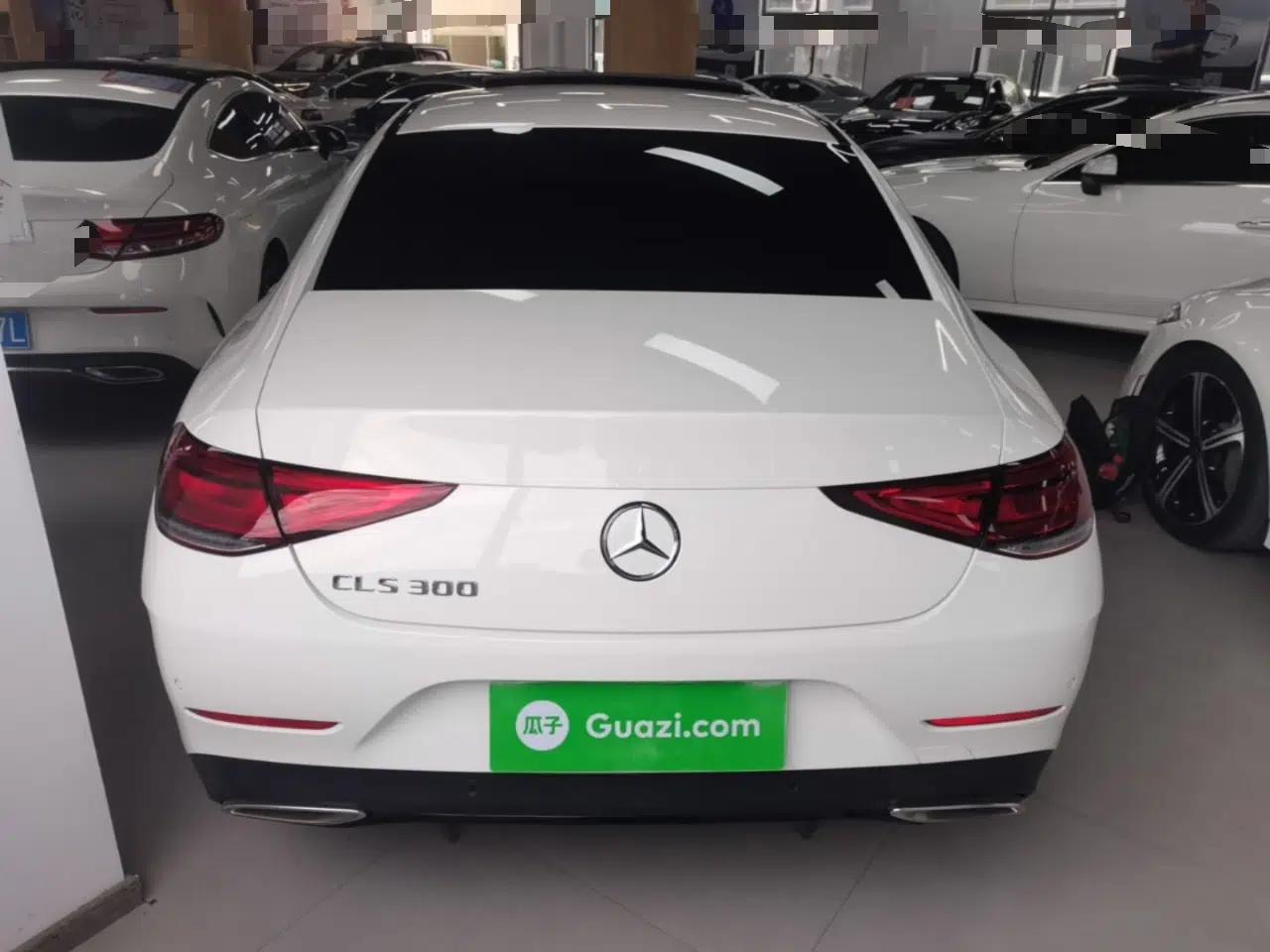 Mercedes-Benz CLS 2018 CLS 300 Dynamic Edition — миниатюра 5