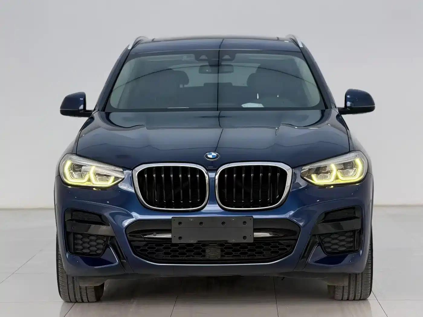 BMW X3 2019 xDrive25i M Sport Package — миниатюра 2