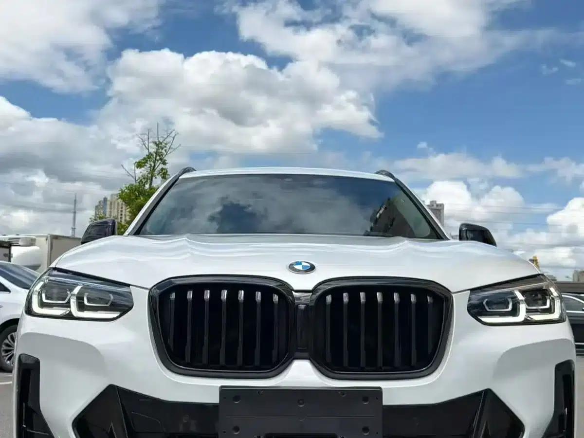 BMW X3 2022 xDrive30i Leading Edition M Sport Package — миниатюра 1