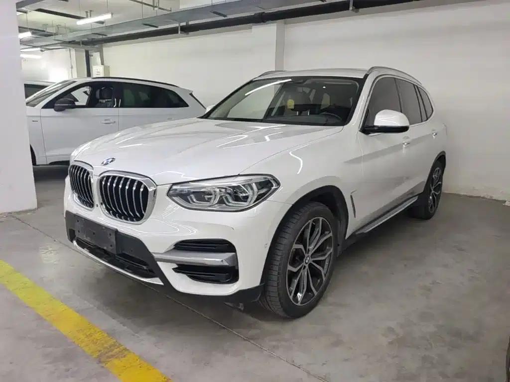 BMW X3 2019 xDrive25i Luxury Package — миниатюра 2